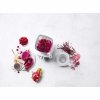 Blender Uniwersalny Srebrny Enfinigy Zwilling
